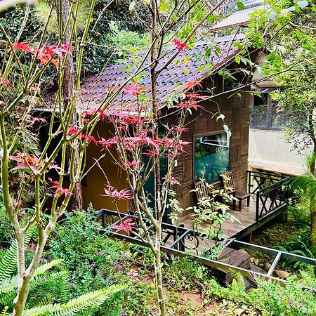 Bazan Home - Hotel & Bungalow Pleiku Exteriör bild
