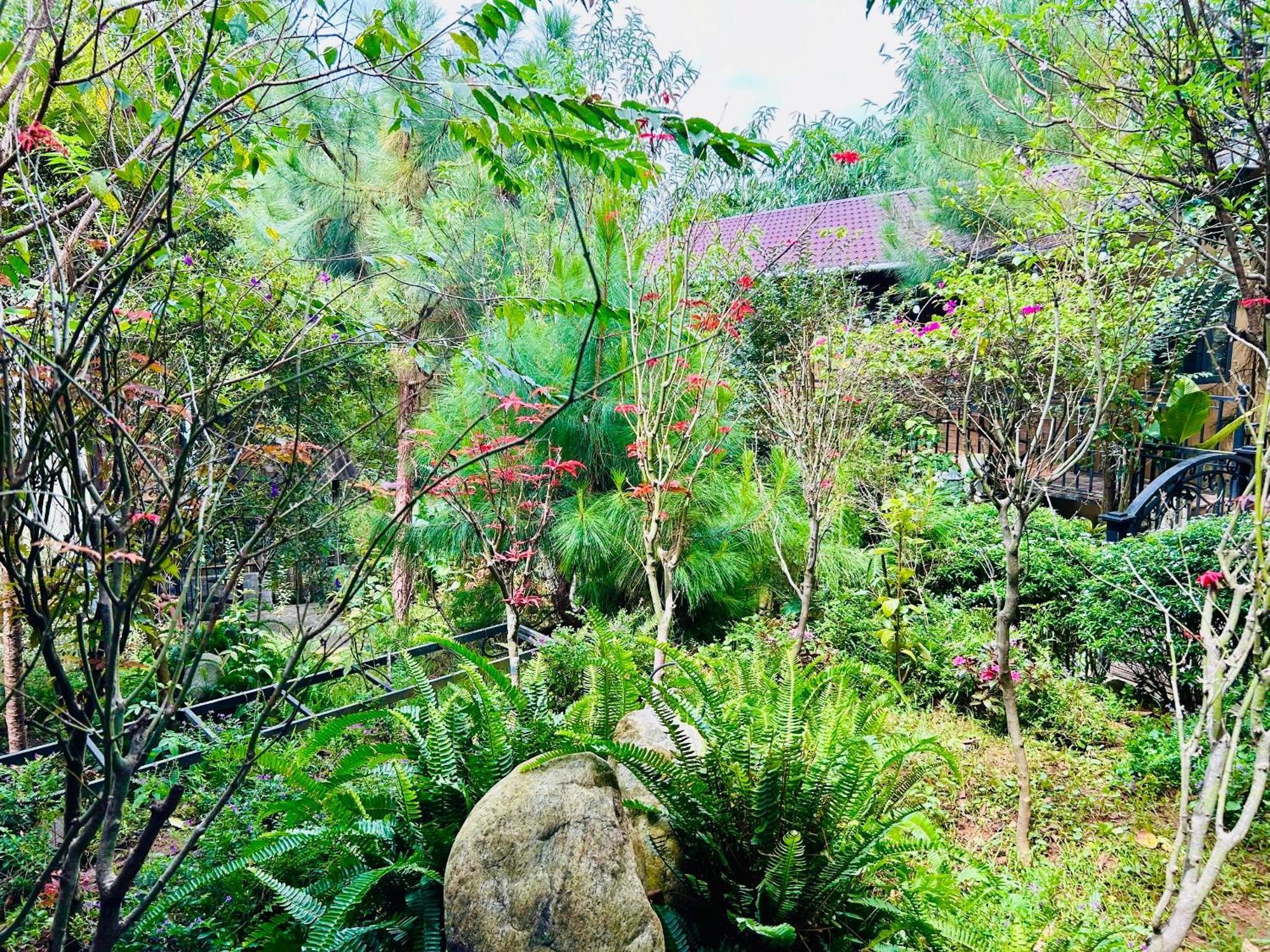 Bazan Home - Hotel & Bungalow Pleiku Exteriör bild